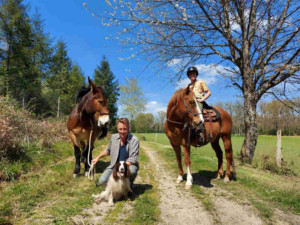 Équipement du cheval - Les problèmes de l'achat en ligne