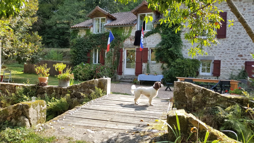 Hondvriendelijke gites in The Limousin, Frankrijk