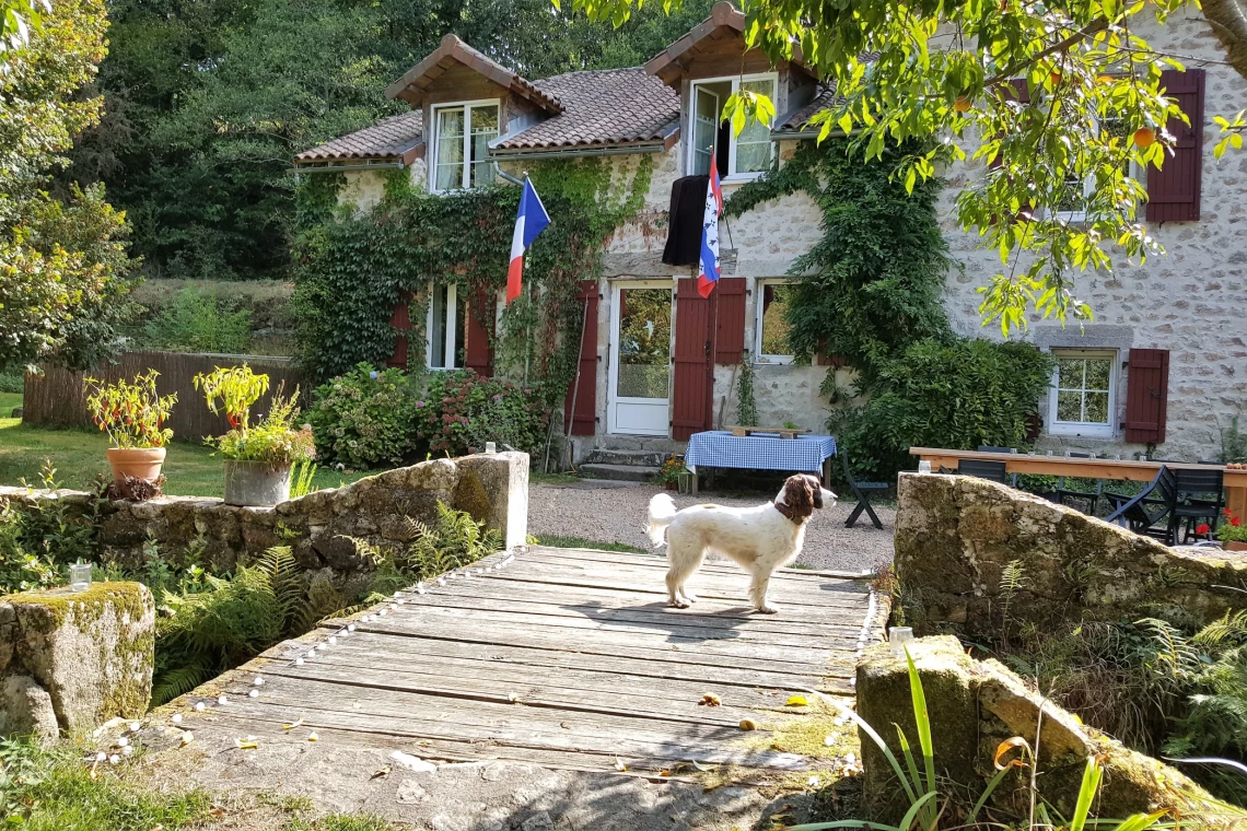 Hondvriendelijke gites in The Limousin, Frankrijk
